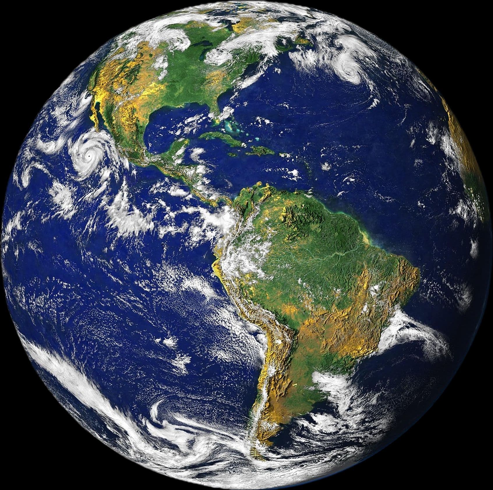 image 1.png